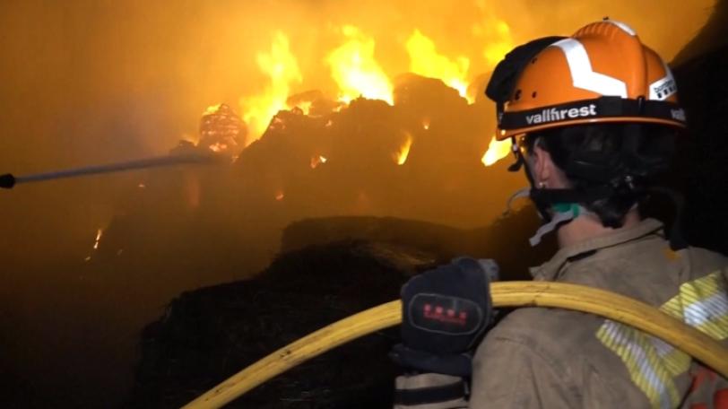 Heatwave in Europe Triggers Wildfires, Leaving 8 Dead