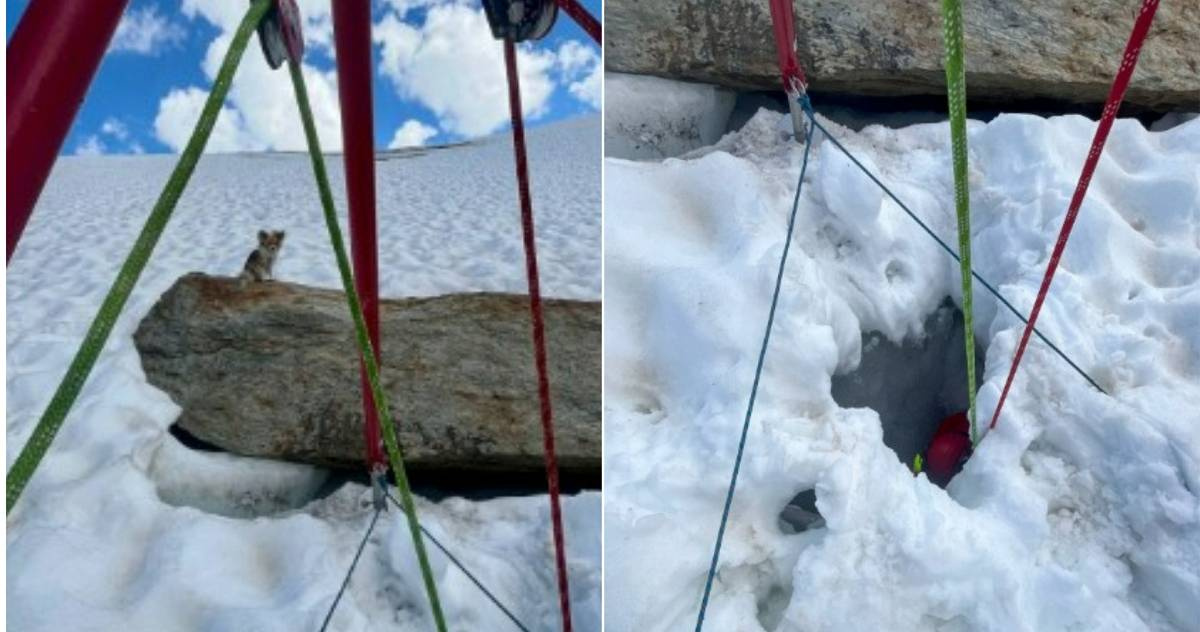 Man Rescued From 8-Meter Deep Glacier Crevice in Switzerland Thanks to His Chihuahua