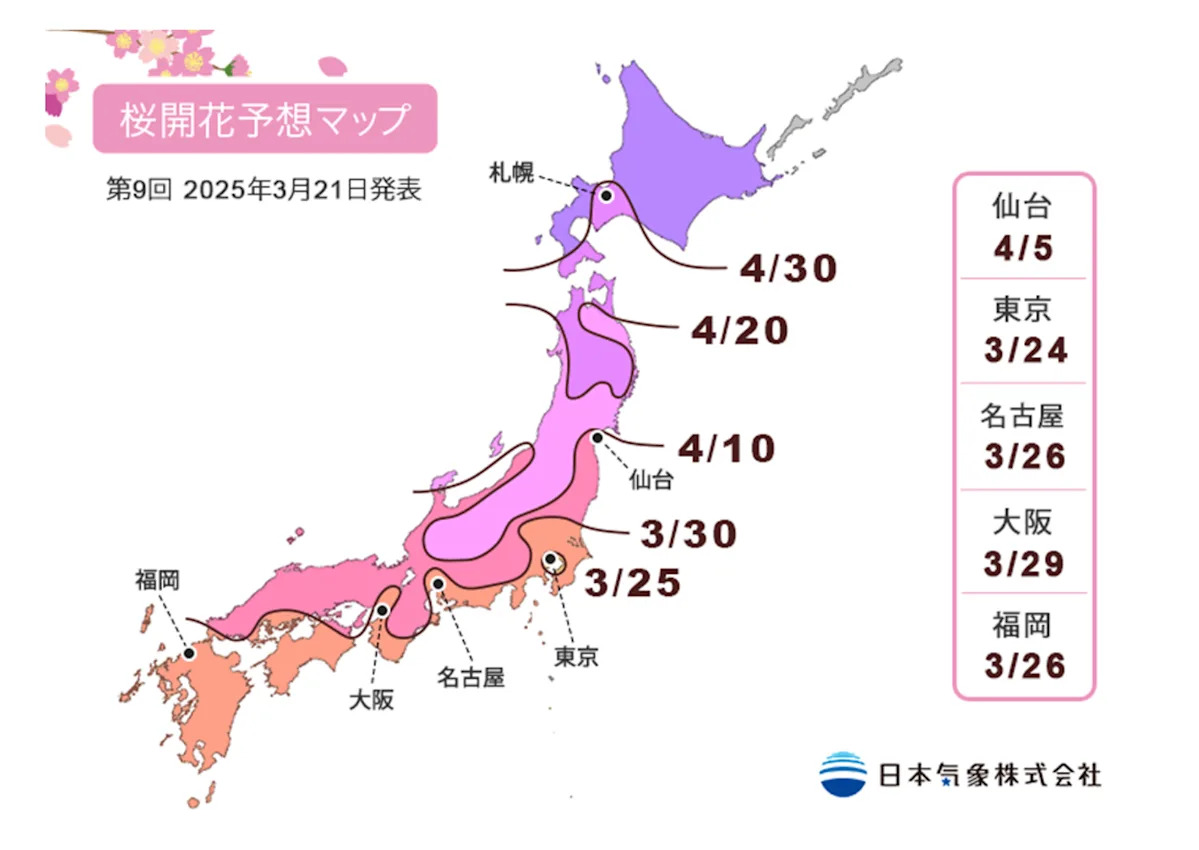 2025 Cherry Blossom Forecast in Japan: Overview of Cherry Blossom Seasons, Event Calendars, Golden Week, and National Holidays Across Regions