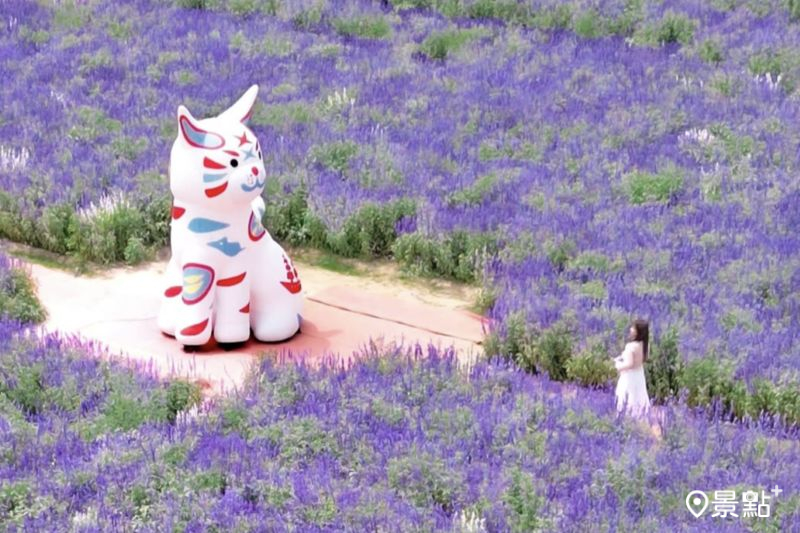 A sea of purple sage flowers alongside a giant cat puppet! A stunning check-in spot featuring a 2.6-hectare area of hibiscus flower fields with light installations.