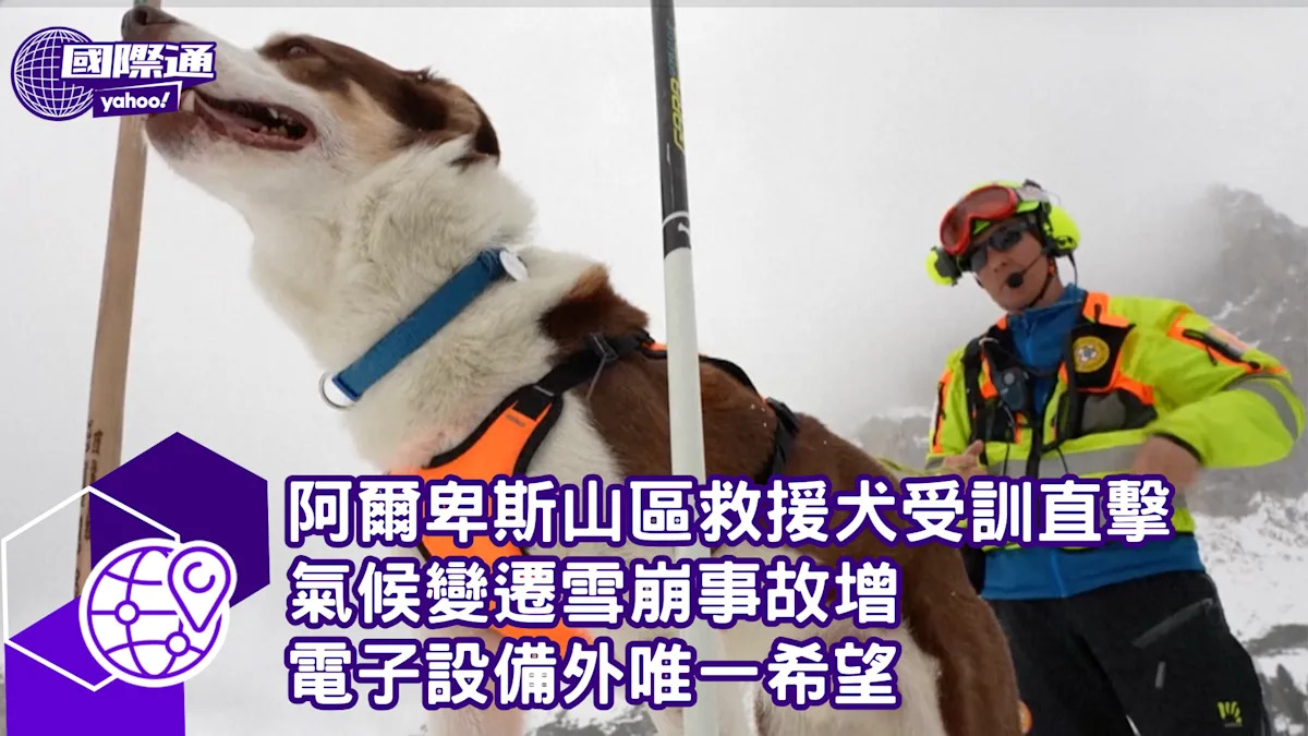 Training of Alpine Rescue Dogs: Climate Change Leads to Increased Avalanche Accidents, Hope for Rescue Beyond Electronic Devices