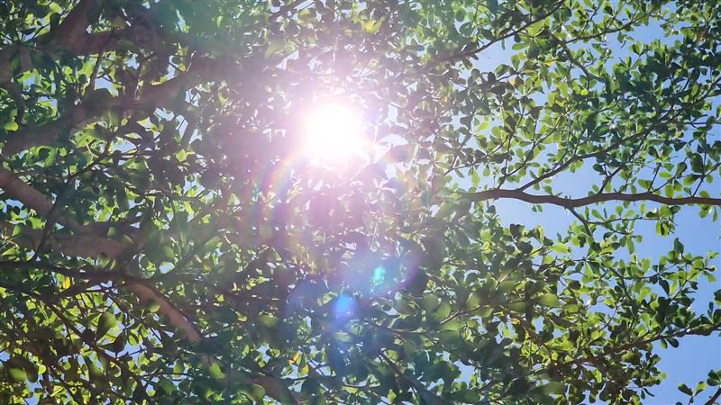 70%國人維他命D不足！醫師提醒：曬太陽時這3個部位吸收最有效