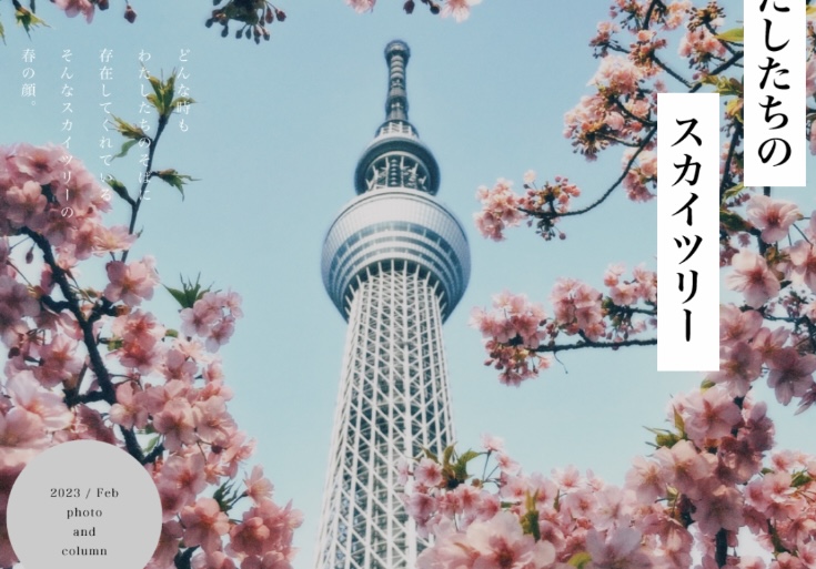 東京染井吉野櫻盛開！日本櫻花前線最新預測，想賞櫻的朋友快訂機票！